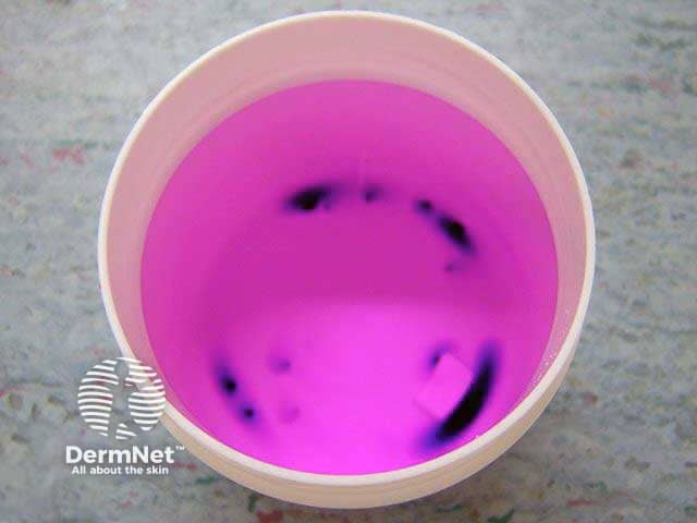 A 1 in 10,000 dilution of potassium permanganate ready to use