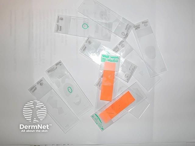 Microscope slides provided for examination by a patient with Morgellons disease