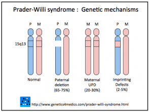 PraderWilli genetics