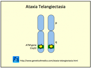 ataxia telangiectasia gene