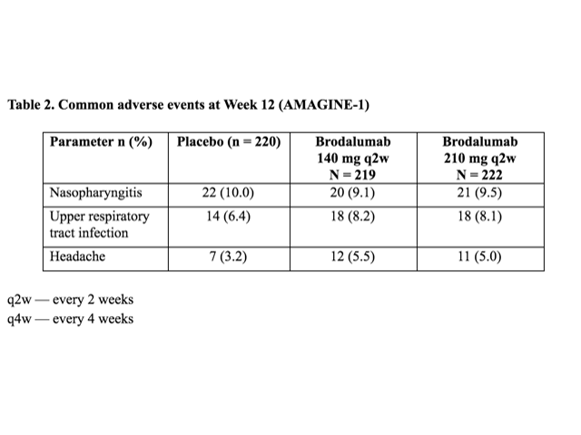 Table 2. Common adverse events at Week 12 (AMAGINE-1)