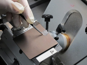Cutting 4–6 micron thick slices of skin specimen