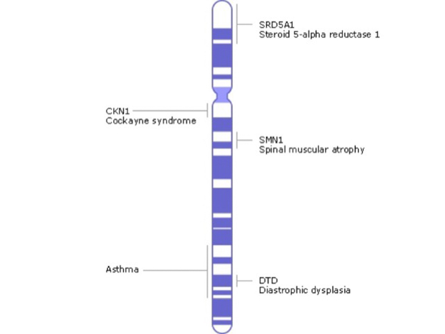Genetics of Cockayne syndrome