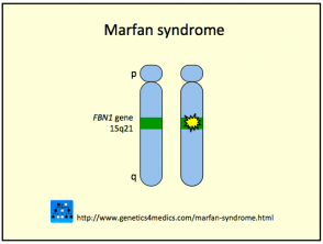 Marfan Syndrome Genetics