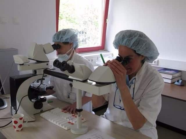 Microscopic slide examination