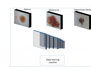 Overview of training of different types of skin lesions with the help of deep learning.