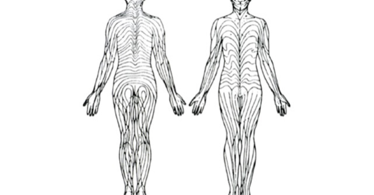 Blaschko lines image