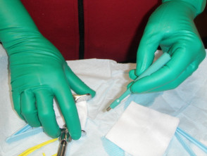 Green gloves in surgery