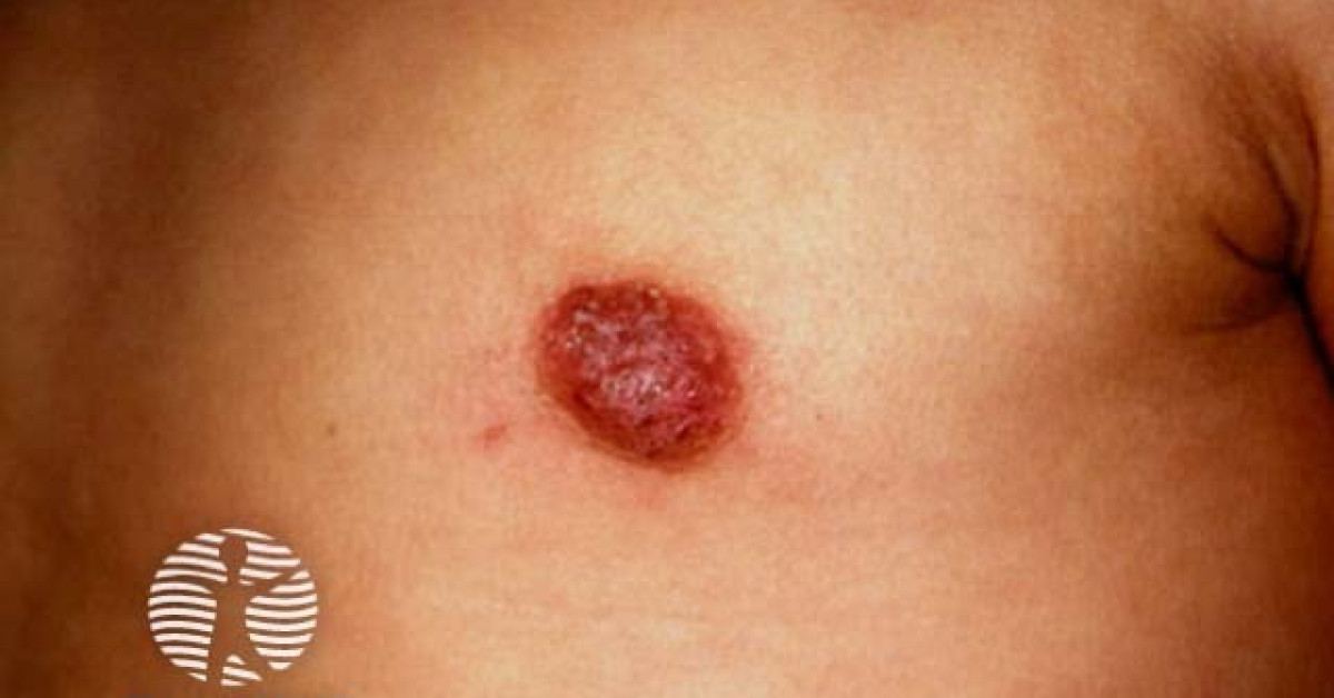 Multfilmlardagi yirtqich hayvonlar bilan jinsiy aloqada bolgan homilador ayollar Rossiya terma jamoasining yalangoch qizlari