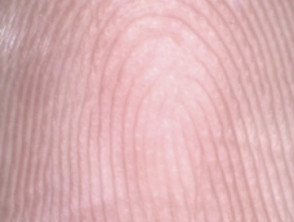 Loop  fingerprint