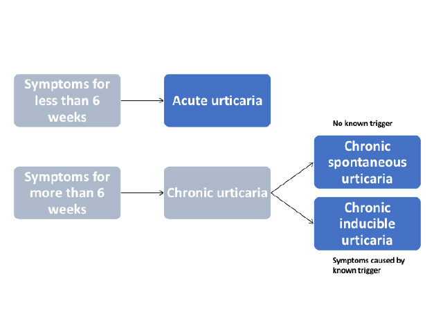 Figure 1 - Classification of urticaria