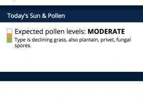 Pollen forecast 18 February 2019, Hamilton, New Zealand